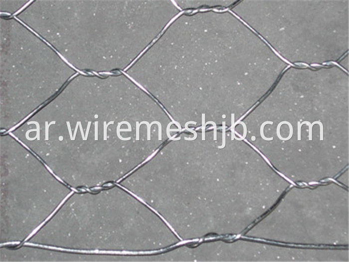 Hexagonal Decorative Mesh